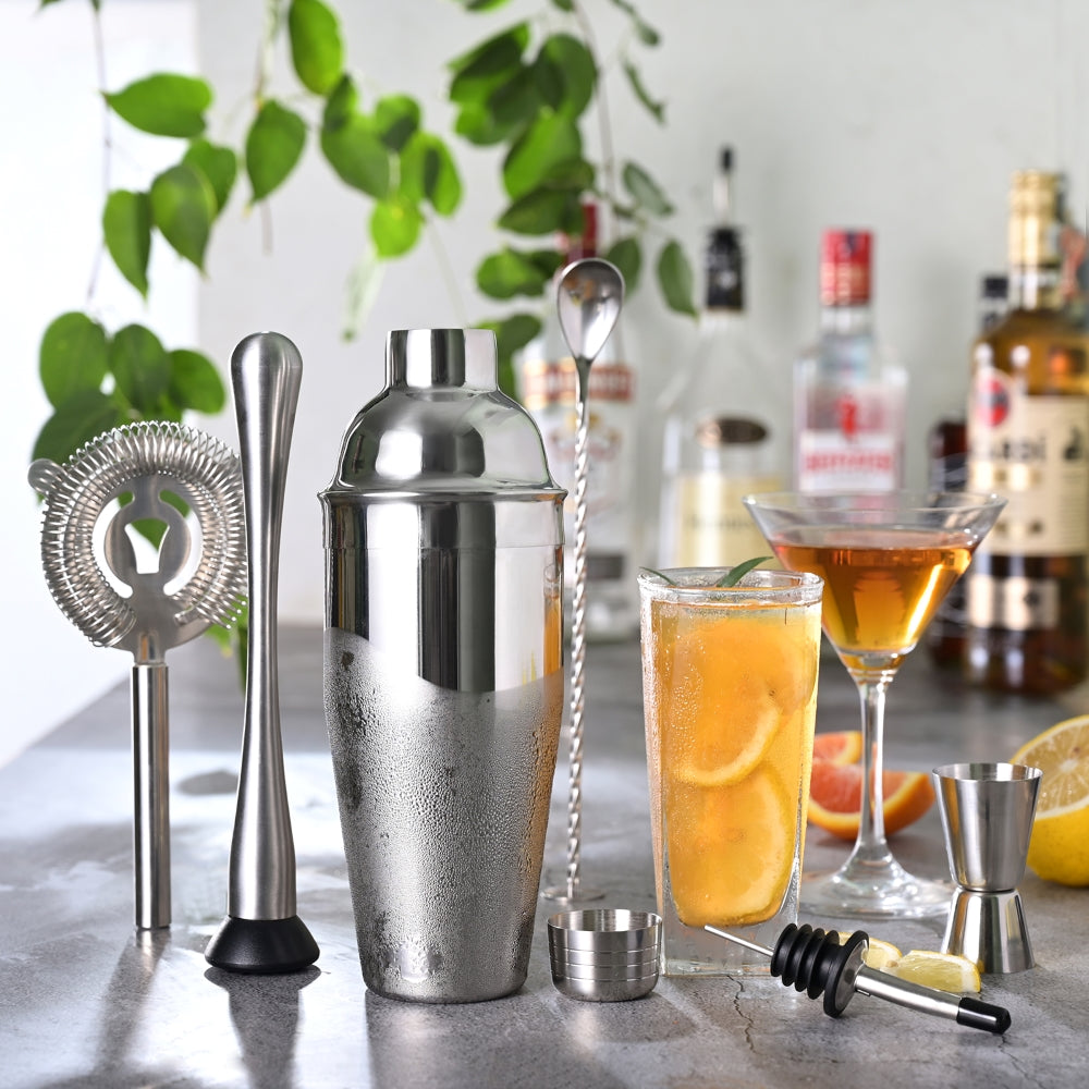 cocktail shaker set bar tools martini drink bartending bartender stainless steel