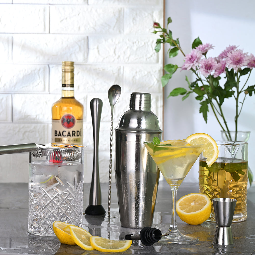 Etens Basic Cocktail Shaker Set, 8pc Mixology Bartender Kit Bar Set for Drink Mixing, Bartending Tools Gifts: Stainless Steel Martini Shaker, Muddler, Strainer, Jigger, Pourer, Mixer Spoon, Recipe