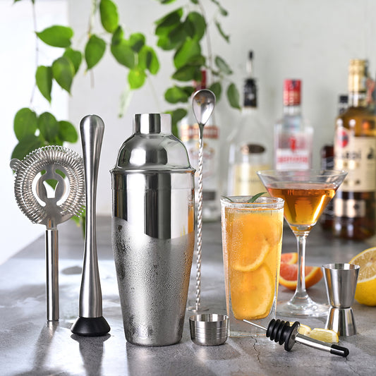 Etens Basic Cocktail Shaker Set, 8pc Mixology Bartender Kit Bar Set for Drink Mixing, Bartending Tools Gifts: Stainless Steel Martini Shaker, Muddler, Strainer, Jigger, Pourer, Mixer Spoon, Recipe
